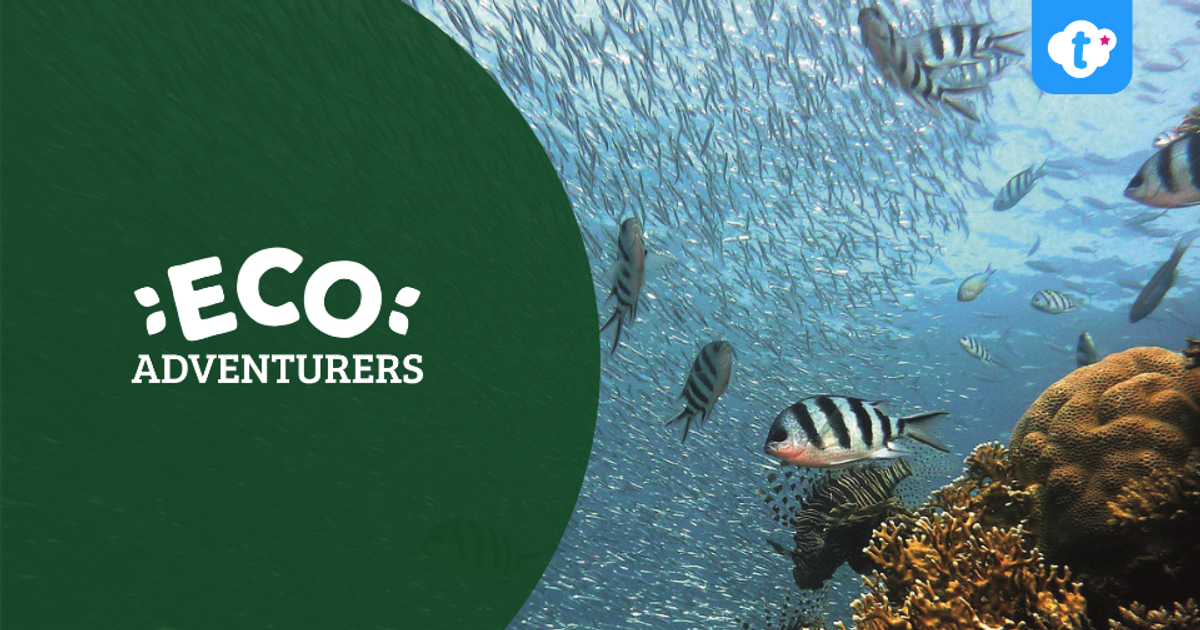 Eco Adventurers Sustainability Resources | Twinkl